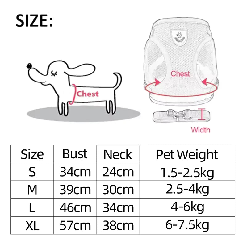 Escape-Proof Mesh Cat Harness and Leash Set