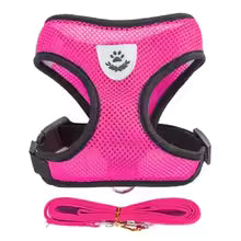 Escape-Proof Mesh Cat Harness and Leash Set
