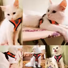 Escape-Proof Mesh Cat Harness and Leash Set