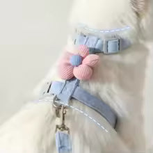 Cute Flower Pet Harness and Leash Set