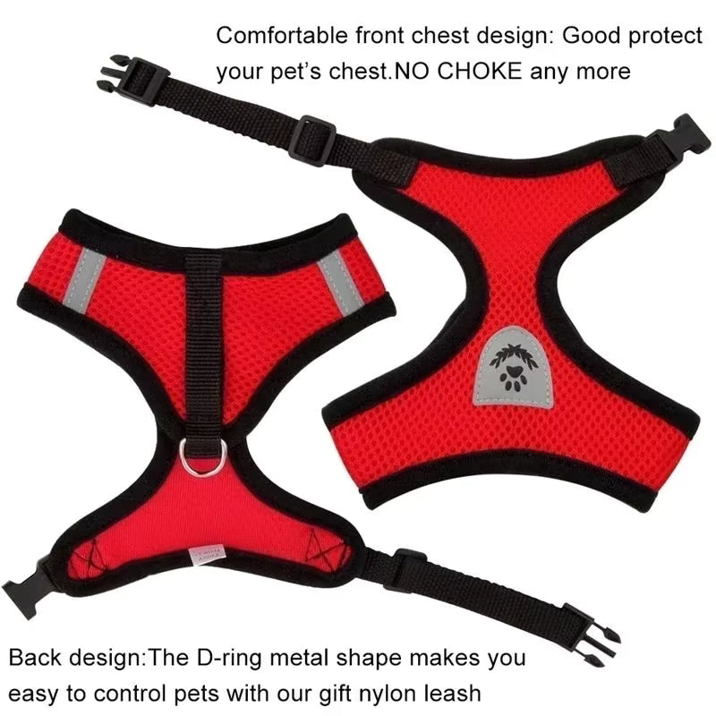 Escape-Proof Mesh Cat Harness and Leash Set