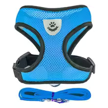 Escape-Proof Mesh Cat Harness and Leash Set