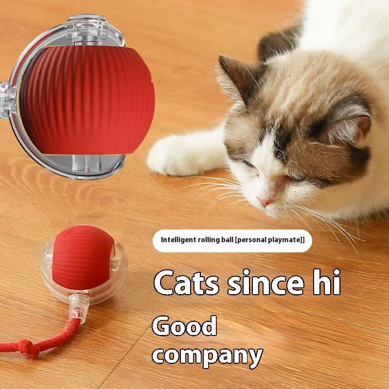 Smart Interactive Cat Ball Toy with Tail
