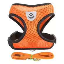 Escape-Proof Mesh Cat Harness and Leash Set