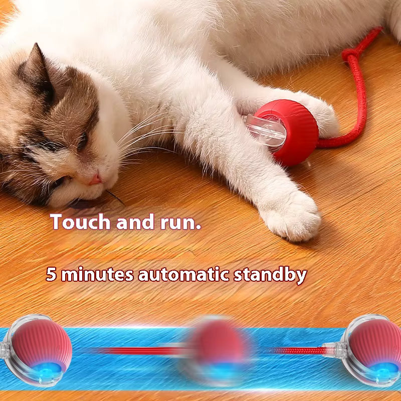 Smart Interactive Cat Ball Toy with Tail