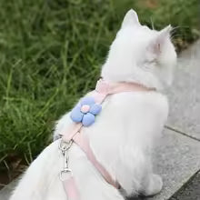 Cute Flower Pet Harness and Leash Set