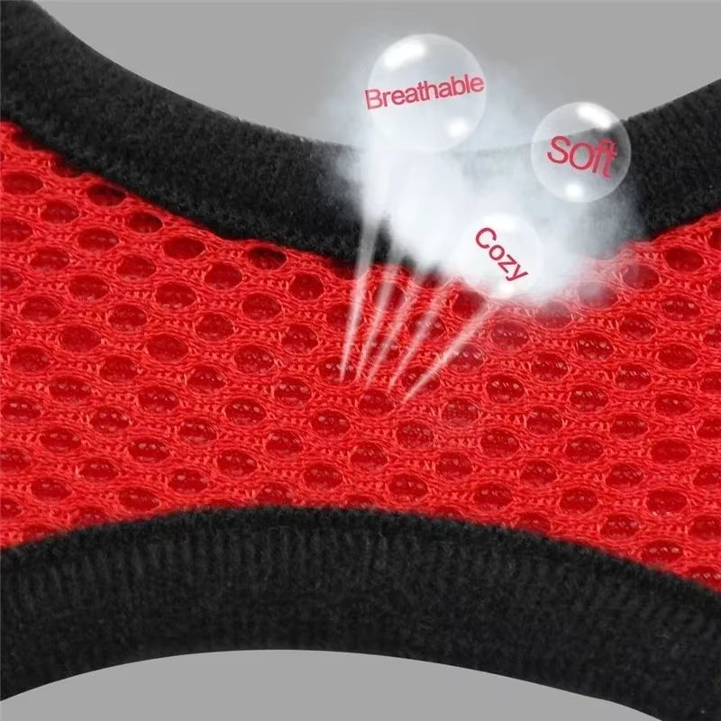 Escape-Proof Mesh Cat Harness and Leash Set