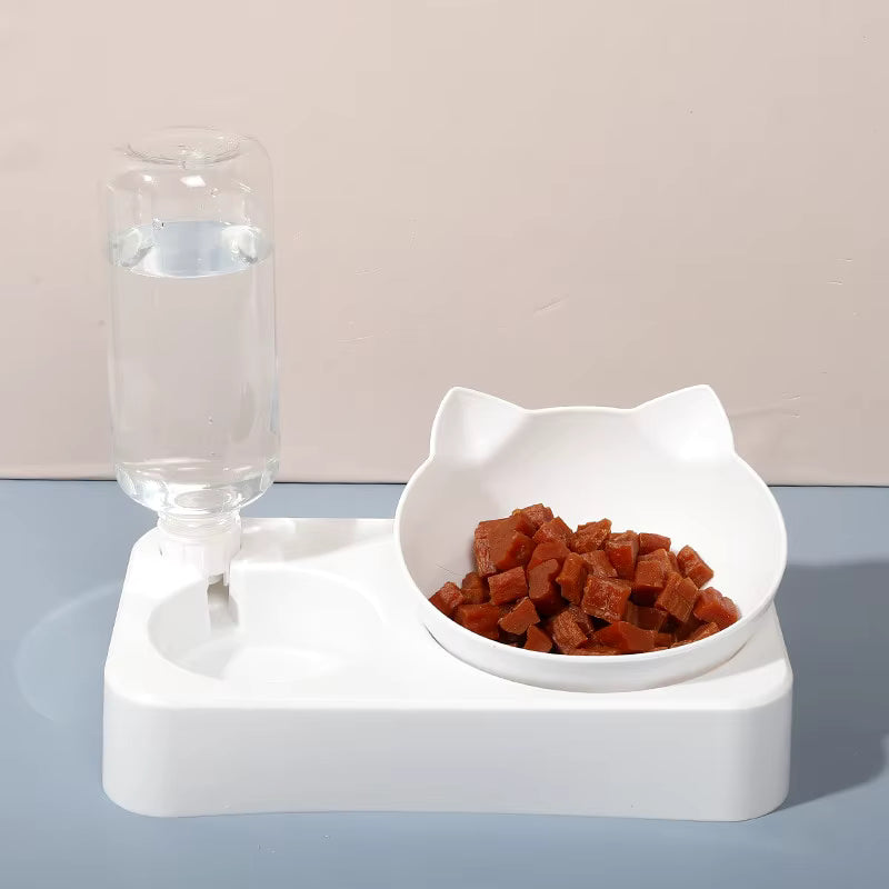 Automatic Pet Feeder and Waterer Station