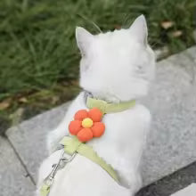 Cute Flower Pet Harness and Leash Set