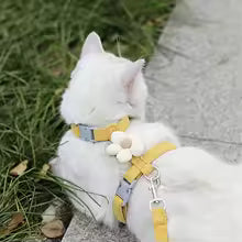 Cute Flower Pet Harness and Leash Set
