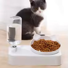 Automatic Pet Feeder and Waterer Station