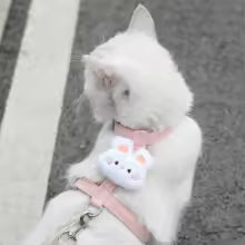 Cute Flower Pet Harness and Leash Set