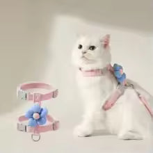 Cute Flower Pet Harness and Leash Set