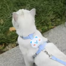 Cute Flower Pet Harness and Leash Set