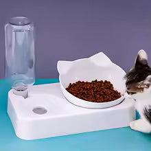 Automatic Pet Feeder and Waterer Station