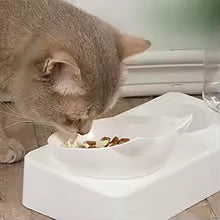 Automatic Pet Feeder and Waterer Station