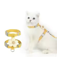 Cute Flower Pet Harness and Leash Set